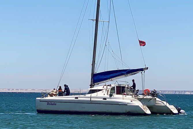croisières à Dakhla