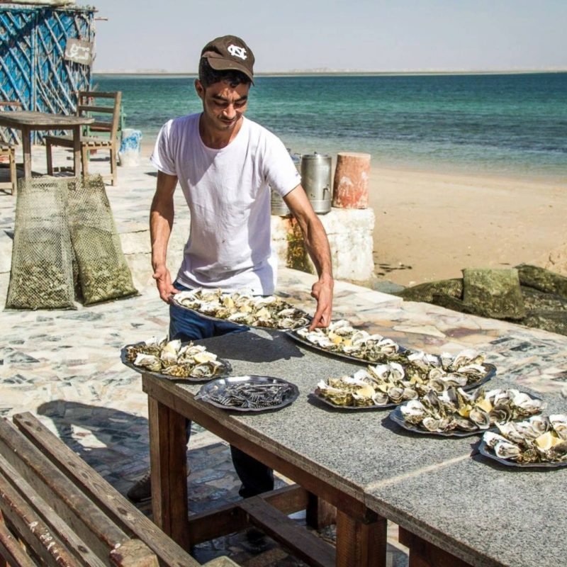 Ferme ostréicole de Dakhla